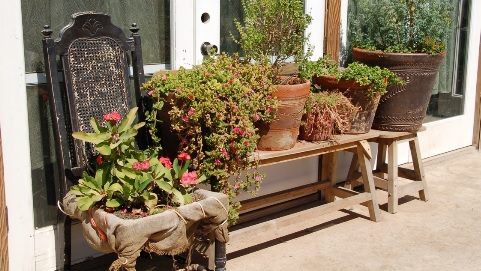 The rustic, ramshackle, wonderful touches at La Cocina de Doña Esthela.