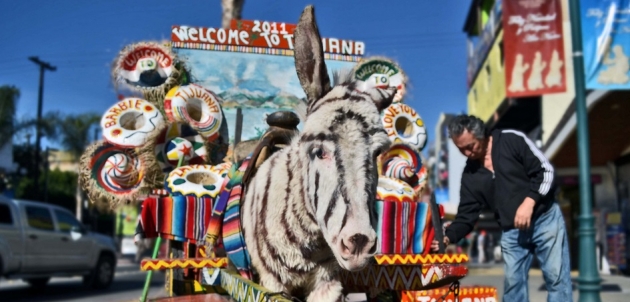 Archivo SanDiegoRed.