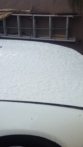 Foto de M. Soledad Sánchez