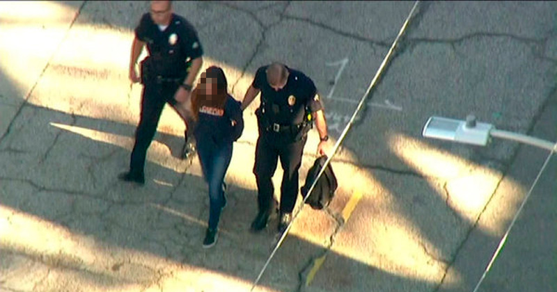 La Policía de Los Ángeles detuvo a una joven presunta responsable