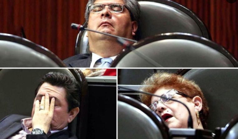Algunos de nuestros legisladores roncando a gusto