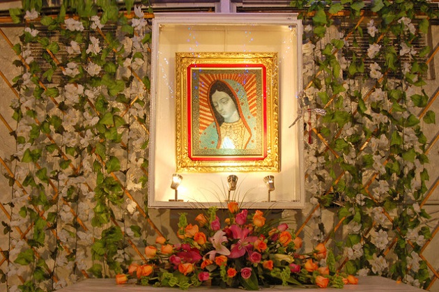 Free Images / Daniel Zamora