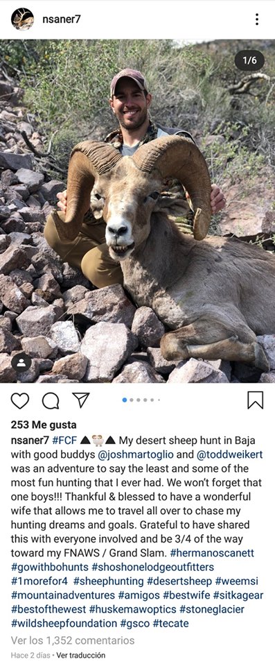 Instagram Nick Saner
