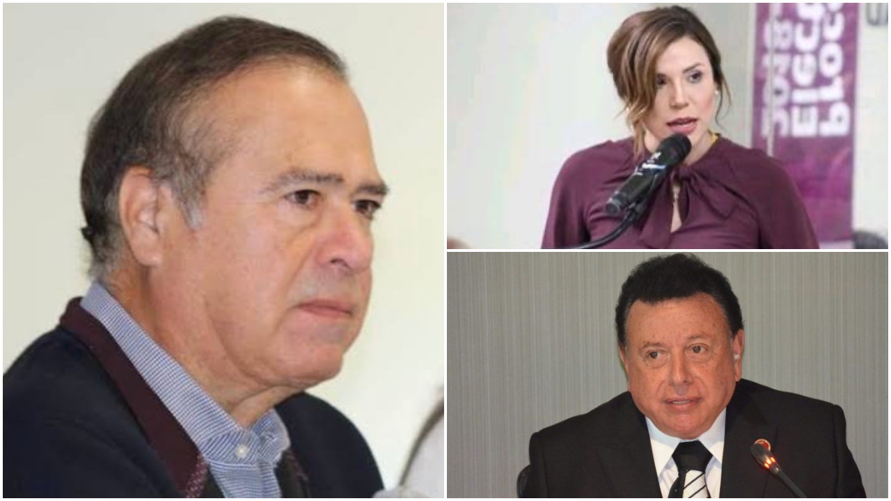 Arturo González Cruz, Marina del Pilar Ávila Olmeda y Guillermo Ruiz Hernández