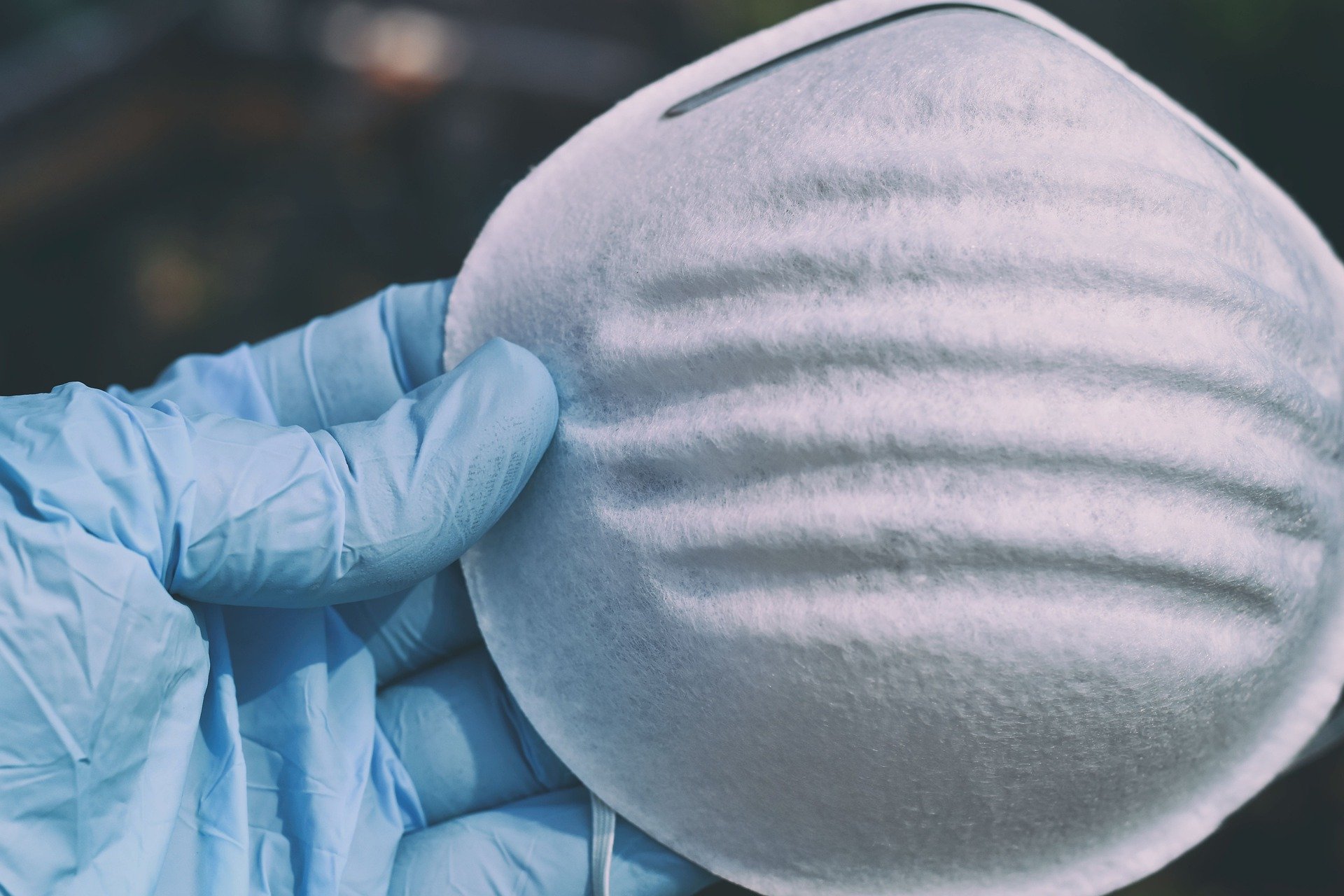 Alexas_Fotos en Pixabay