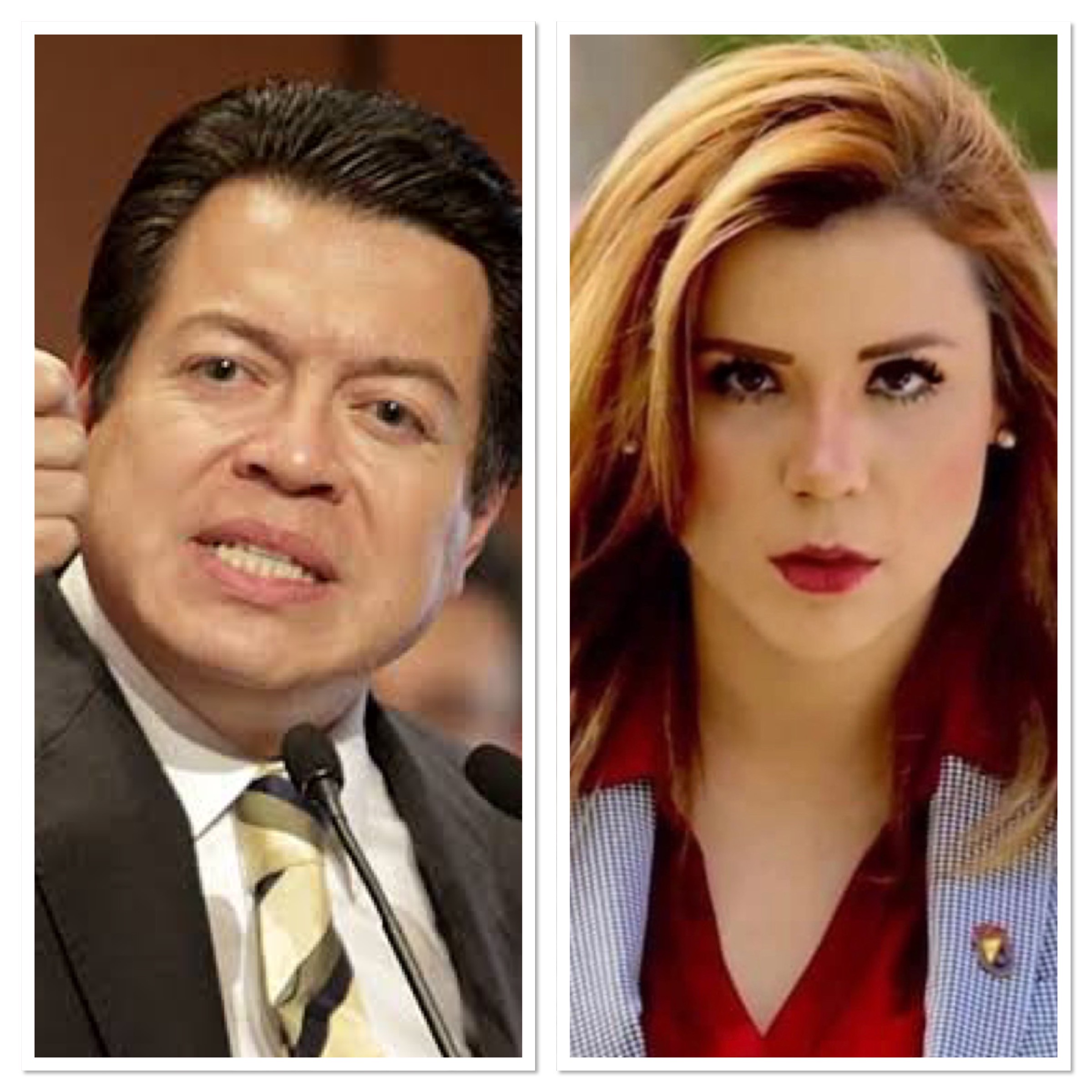 Mario Delgado Carrillo / Marina del Pilar Avila Olmeda