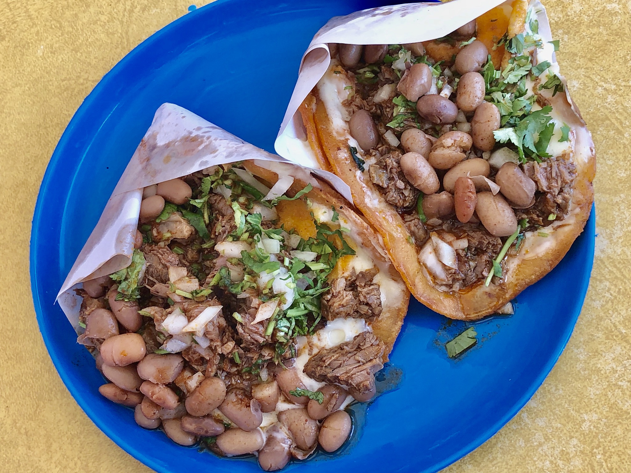 Quesabirria tacos at Tacos el Gallo