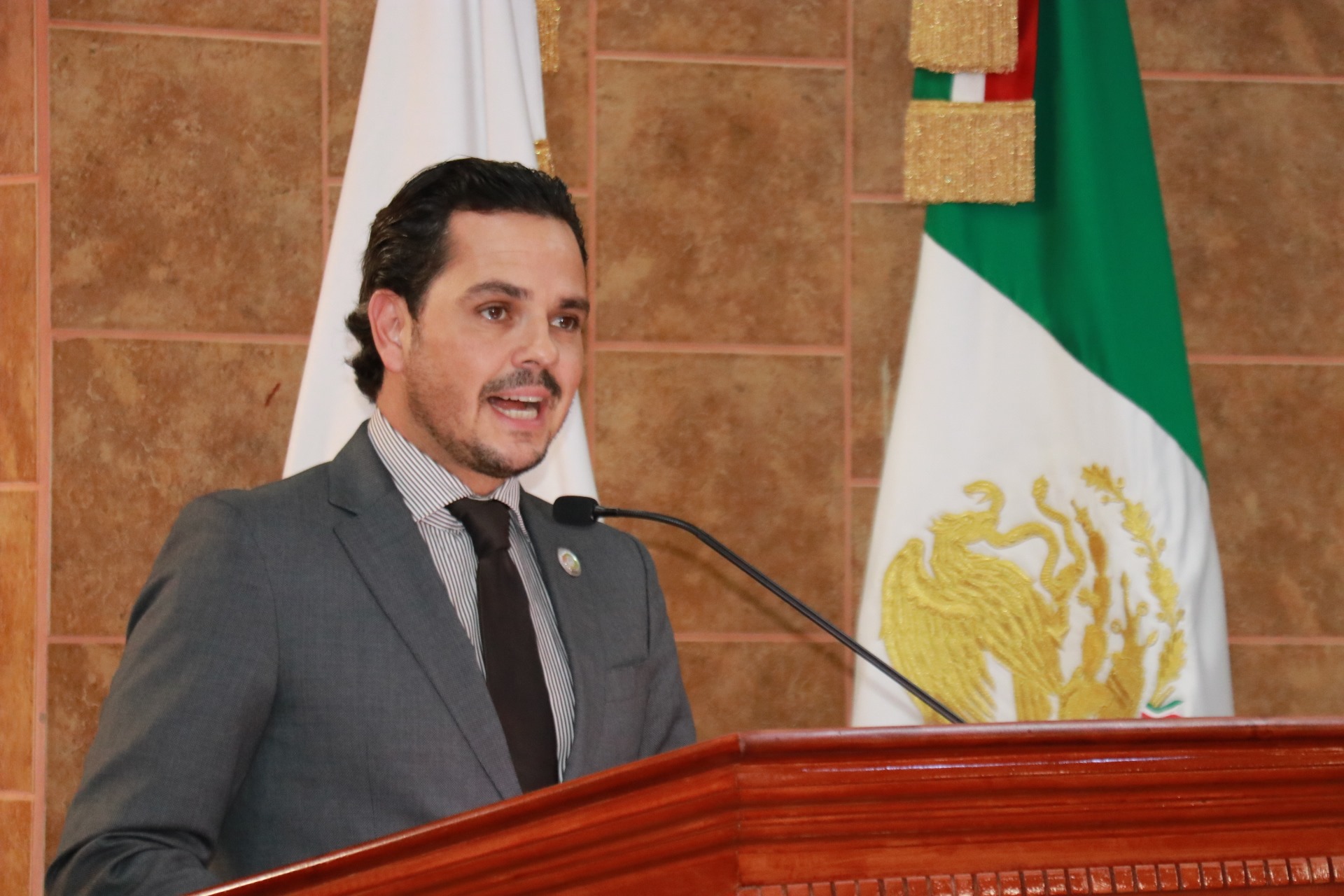 Diputado Fausto Gallardo García