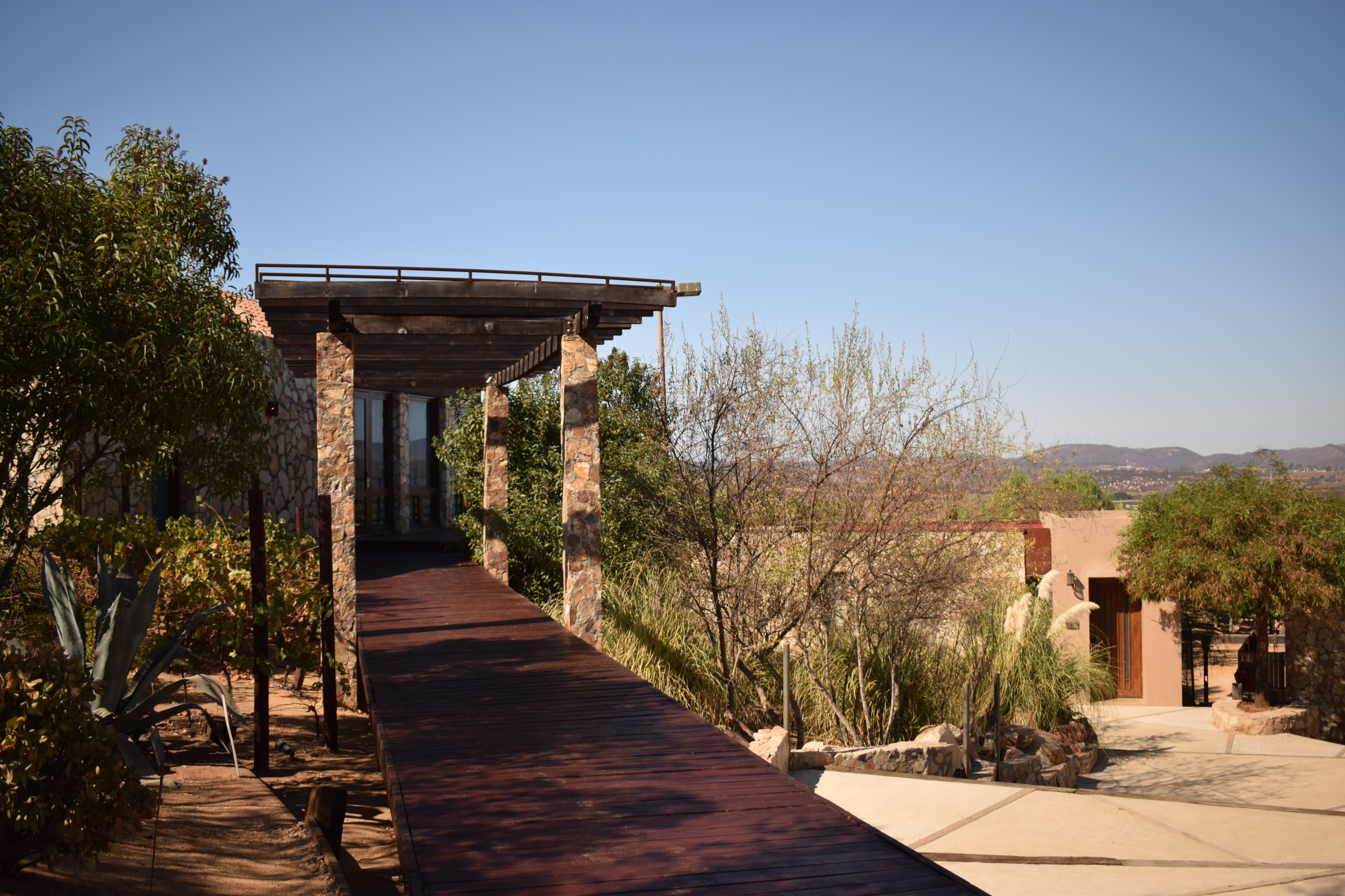 Foto de Laura Rivera