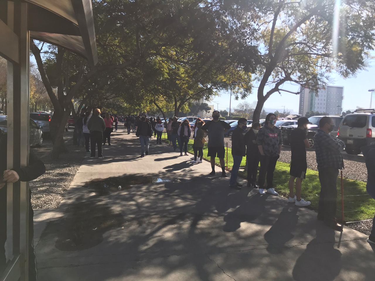 Courtesy of Ale Camarena