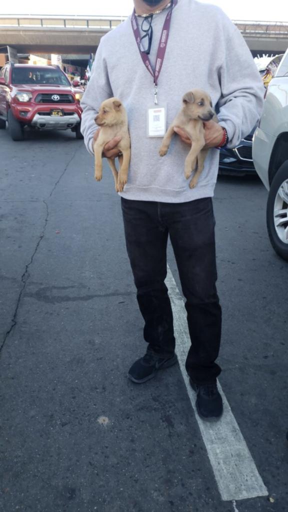 Ayuntamiento de Tijuana