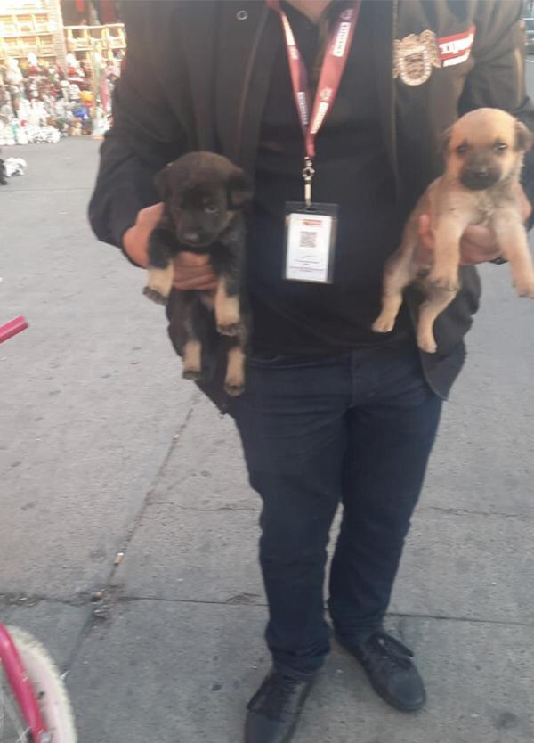 Ayuntamiento de Tijuana