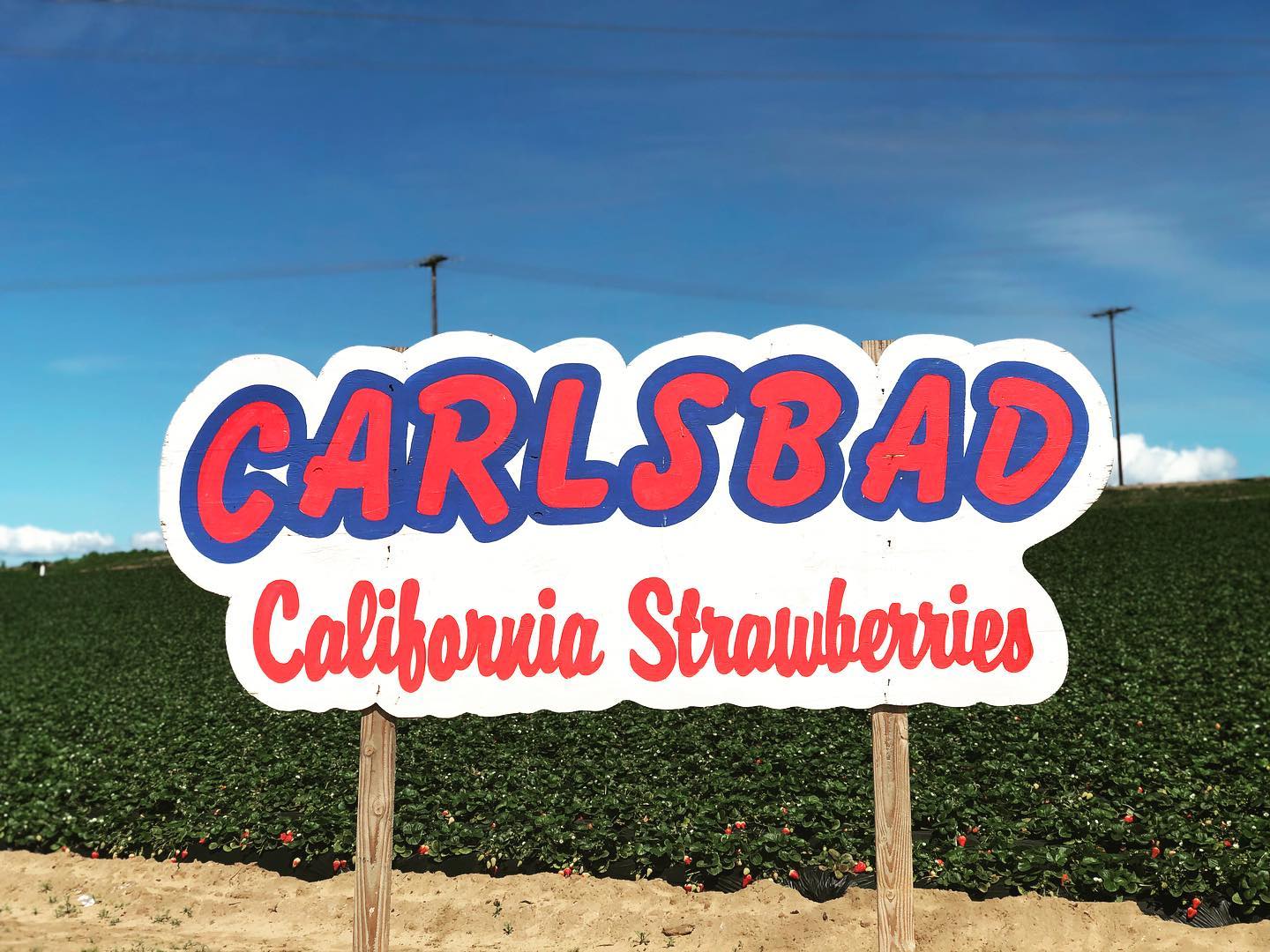 Carlsbad Strawberry Patch