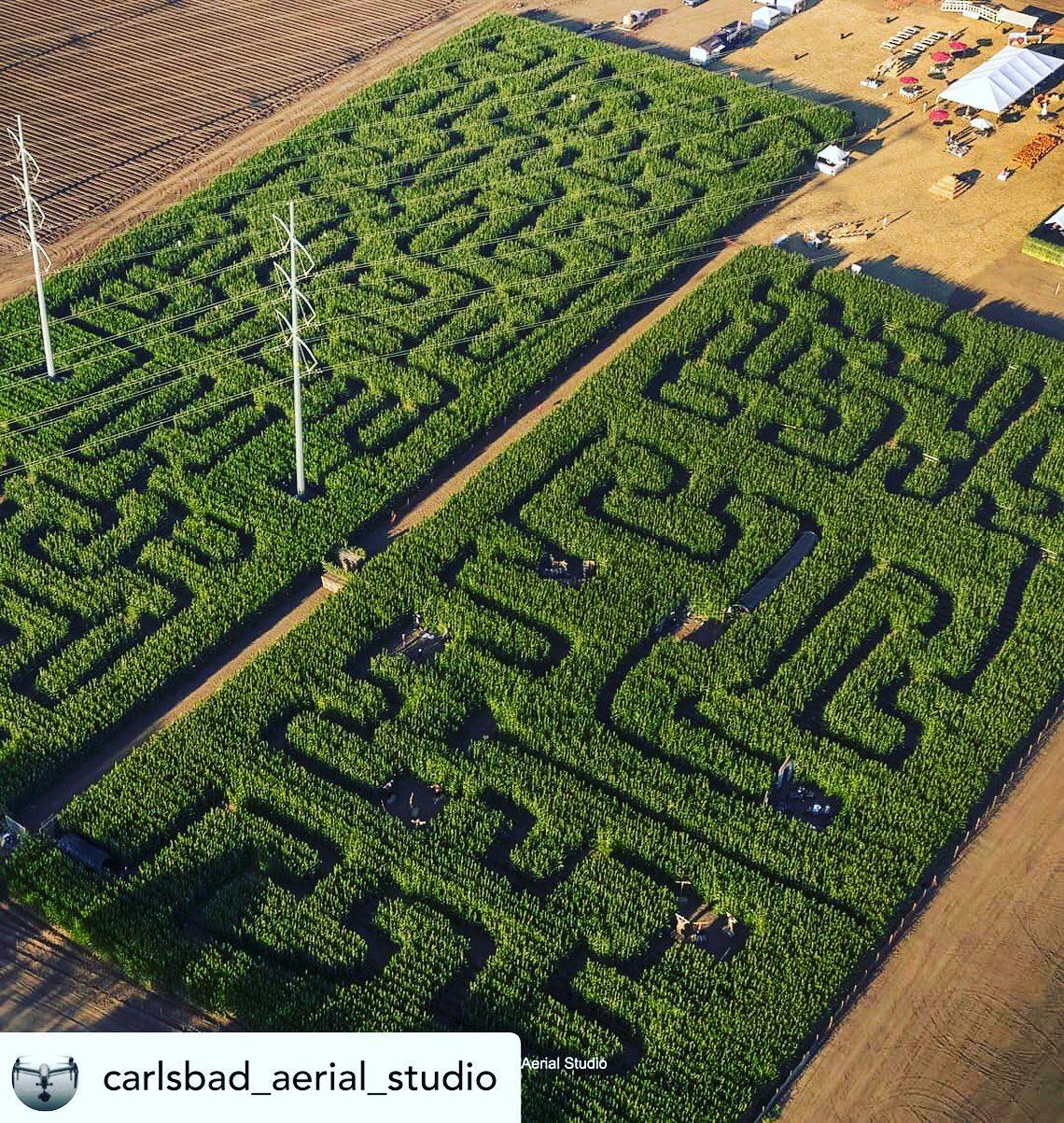 Carlsbad Strawberry Patch