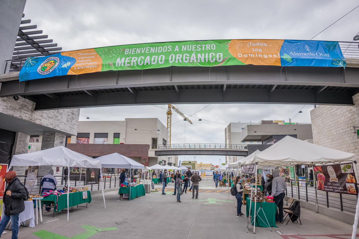 Foto de Sobreruedas Orgánico