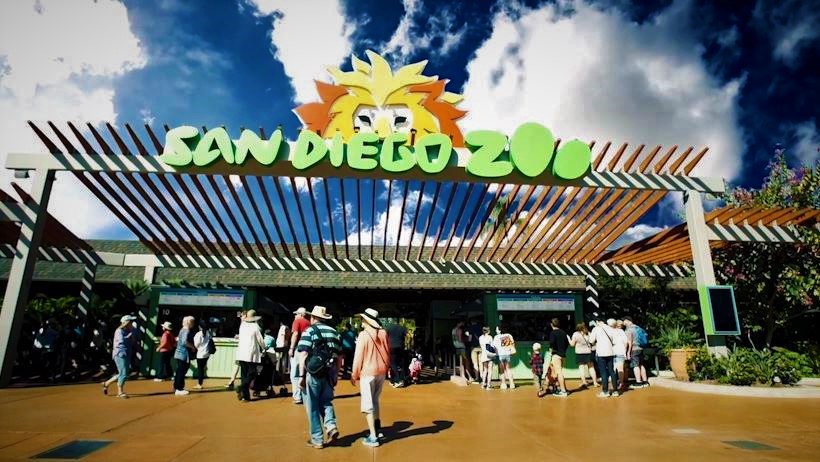 San Diego Zoo Facebook Oficial