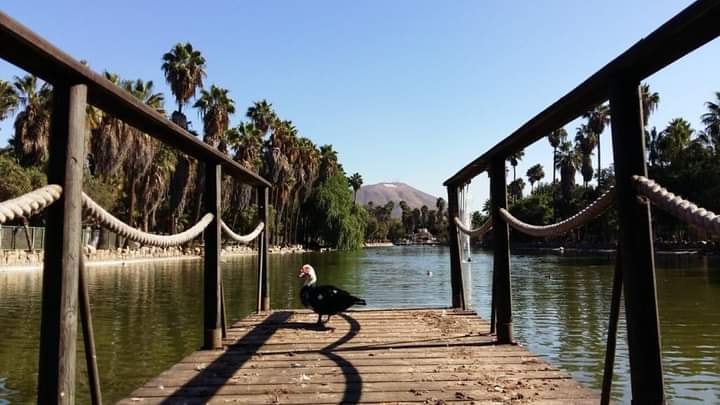 Morelos Park Facebook