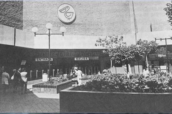 Photography by Amealma Adb