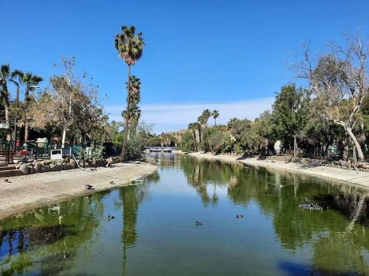 Parque Morelos Facebook