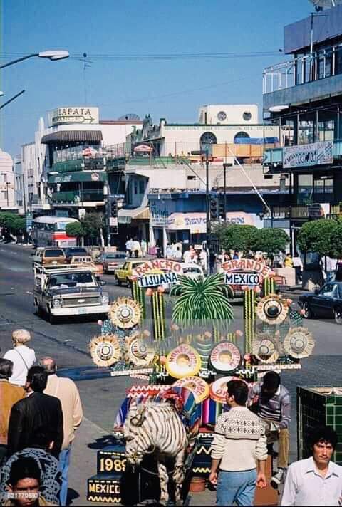 Photo by Catalina Matías on Facebook