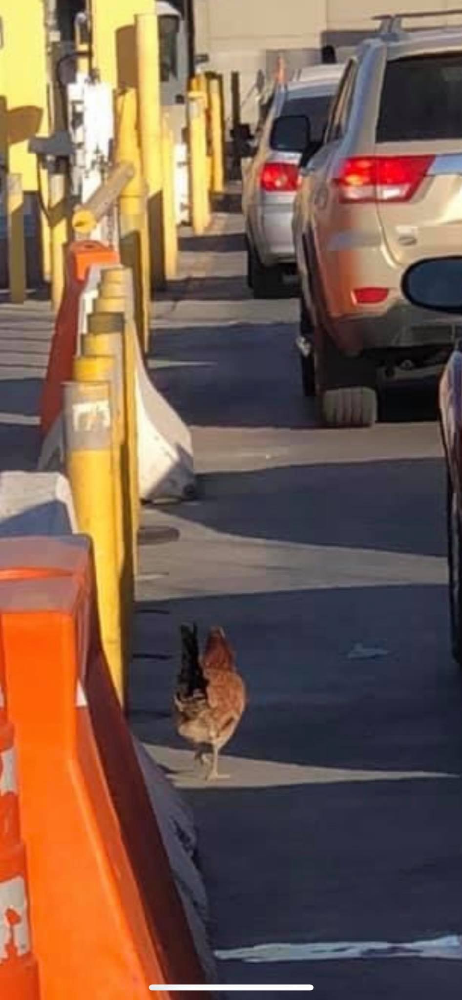 Manlo Perez Vía Cómo está la línea