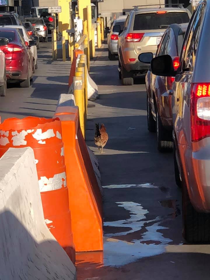 Cesar Gaeta Coronado/Manlo Perez vía Cómo está la línea