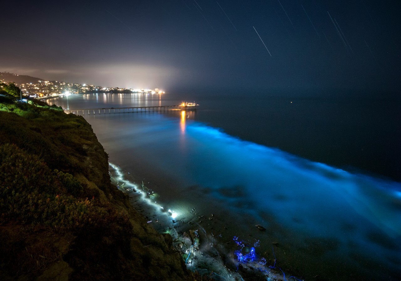 La Jolla Light