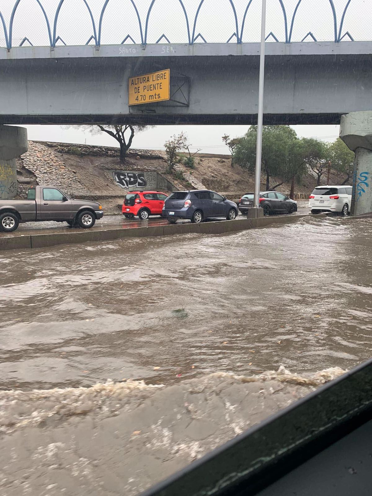 Usuario Facebook Dania Santa Cruz Hurtado