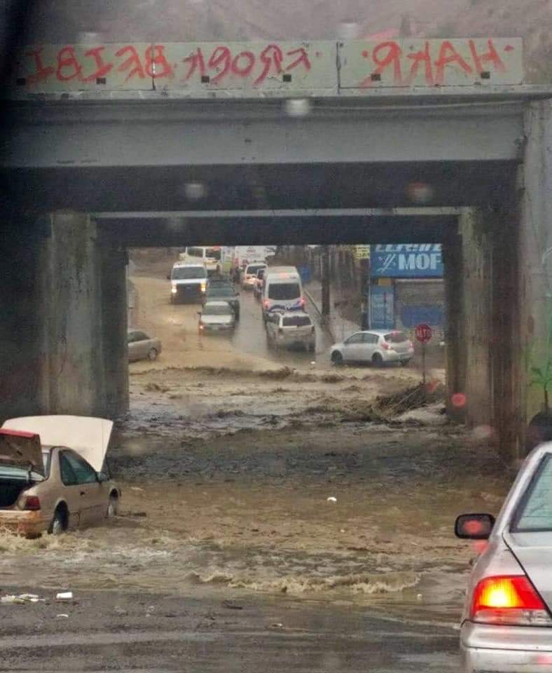 Usuario Facebook Carely Trigo