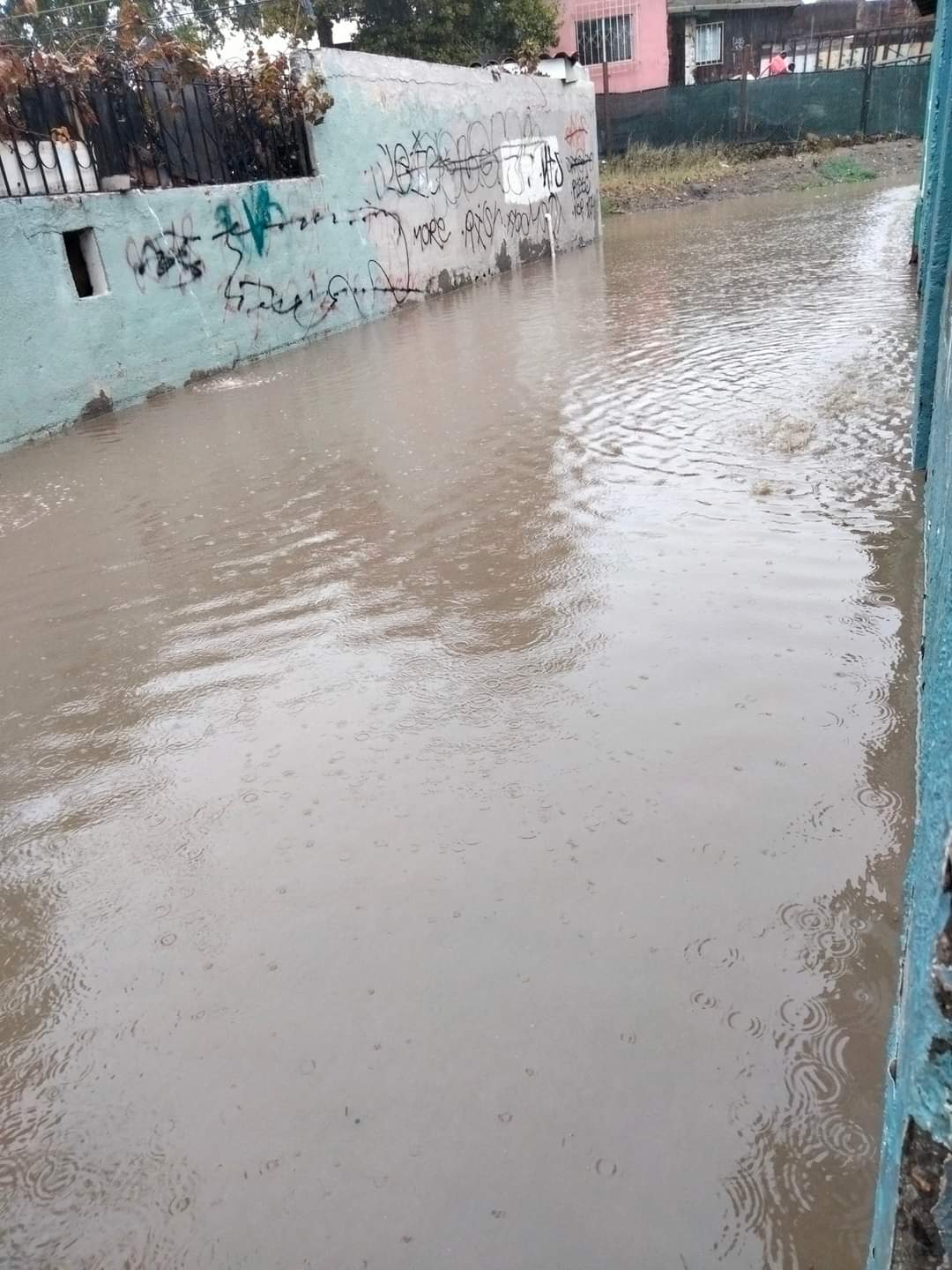 Usuario Facebook Angelica Naranjo Soto