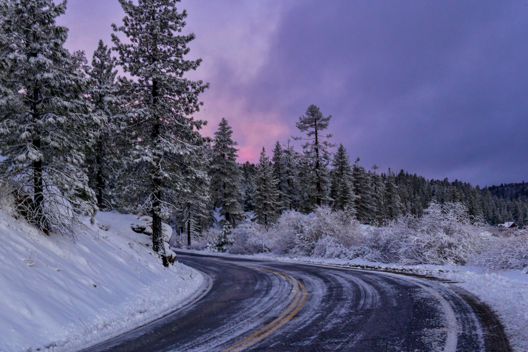 Care For Big Bear Facebook