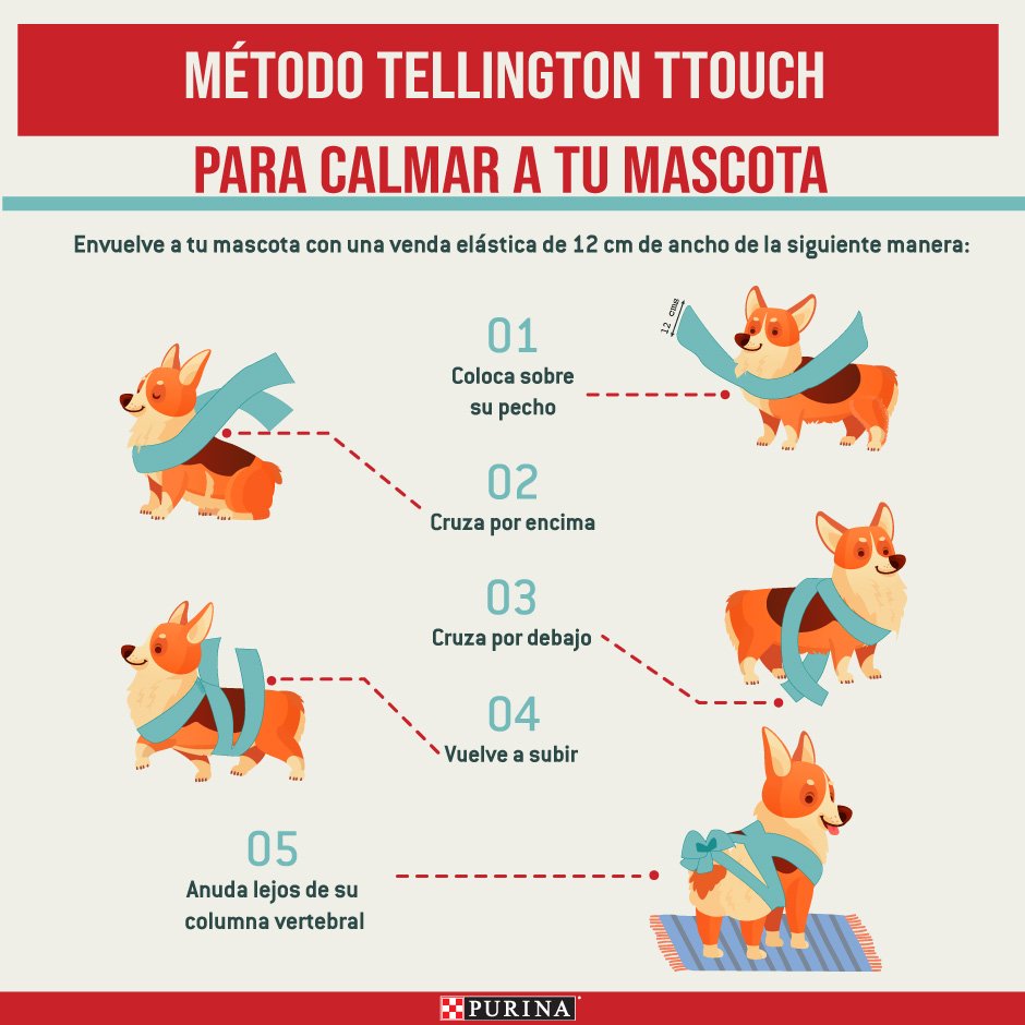 Illustration by Purina