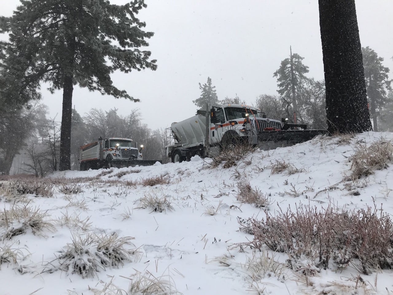 County of San Diego - Government