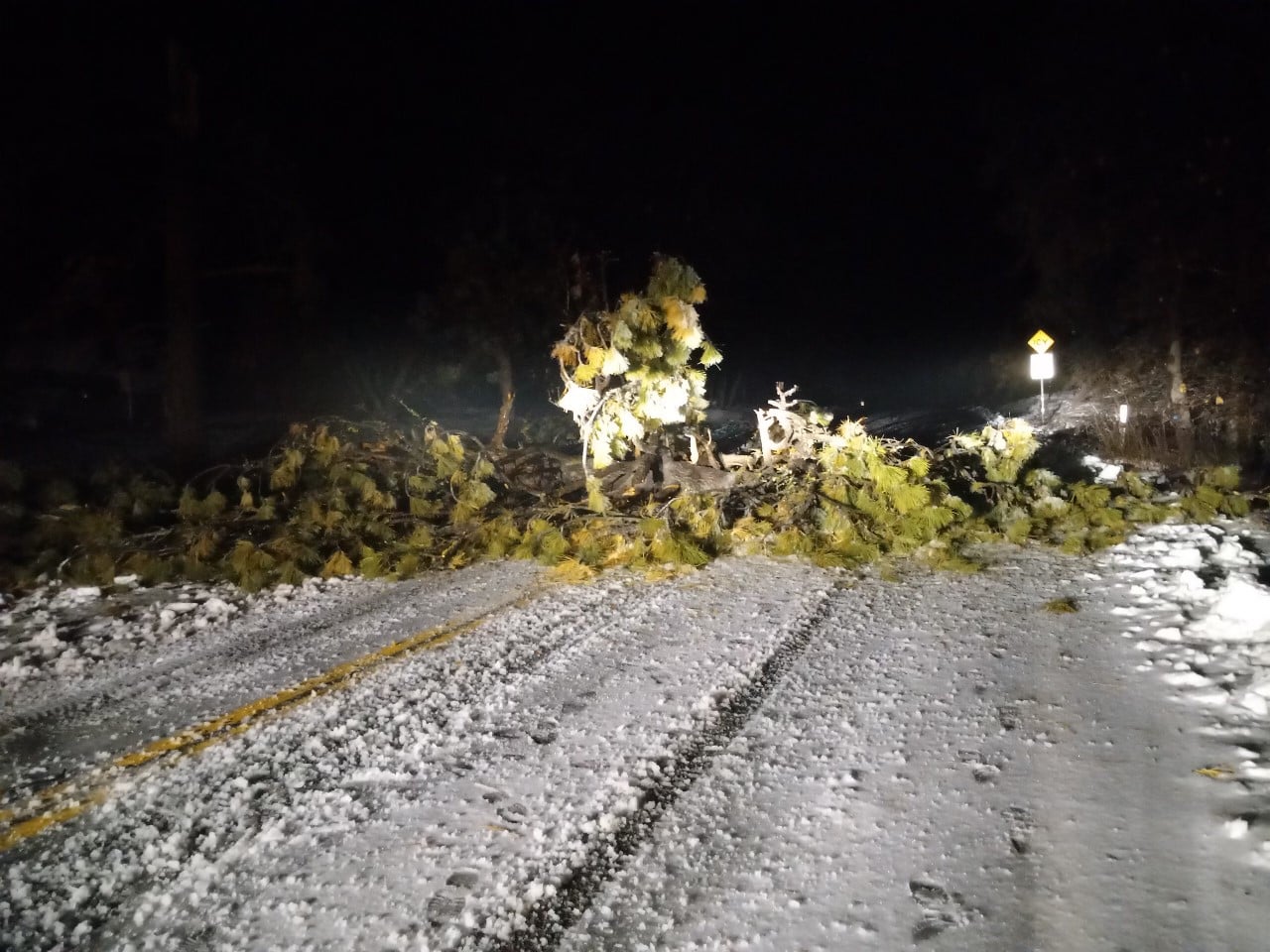 County of San Diego - Government