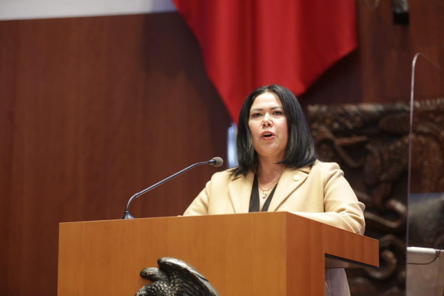 Senadora Alejandra León