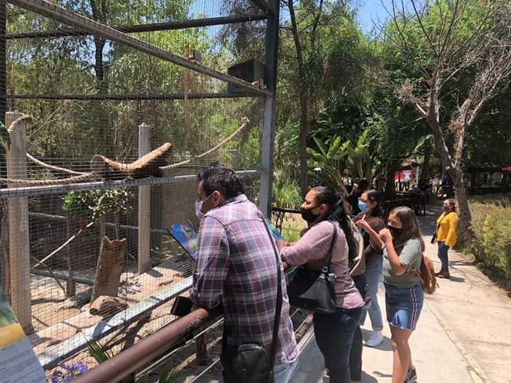 Facebook Parque Morelos