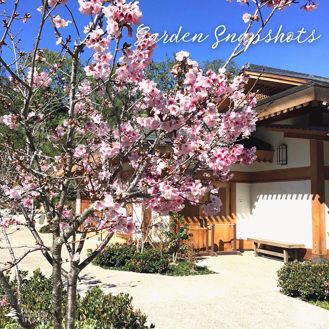 Japanese Friendship Garden