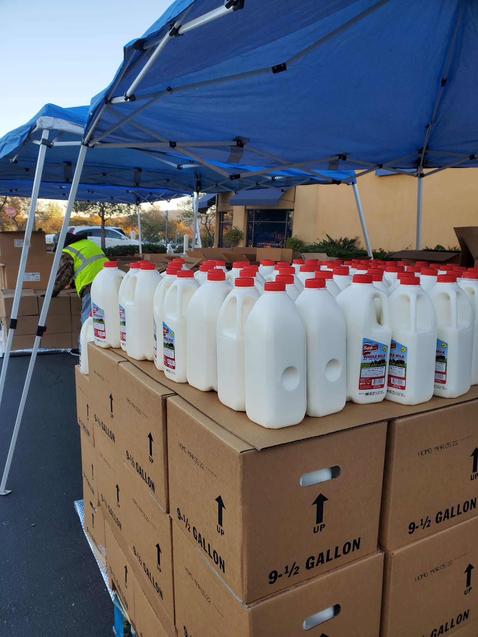 Hearts & Hands Working Together