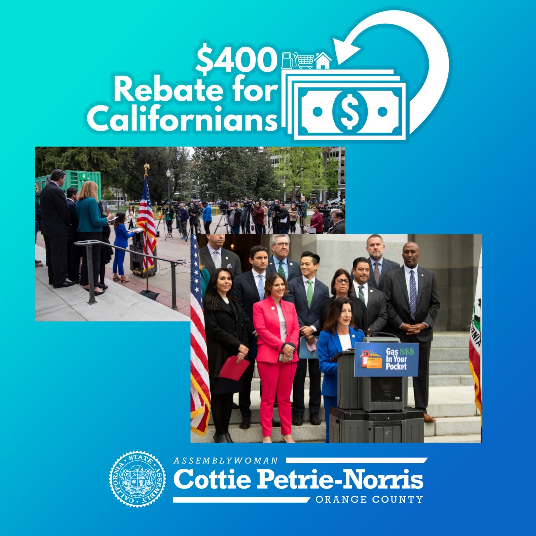 Assemblywoman Cottie Petrie-Norris Facebook
