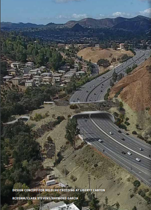 DESIGN CONCEPT FOR WILDLIFE CROSSING AT LIBERTY CANYONRCDSMM/CLARK STEVENS/RAYMOND GARCIA