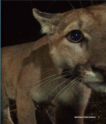 National Park Service