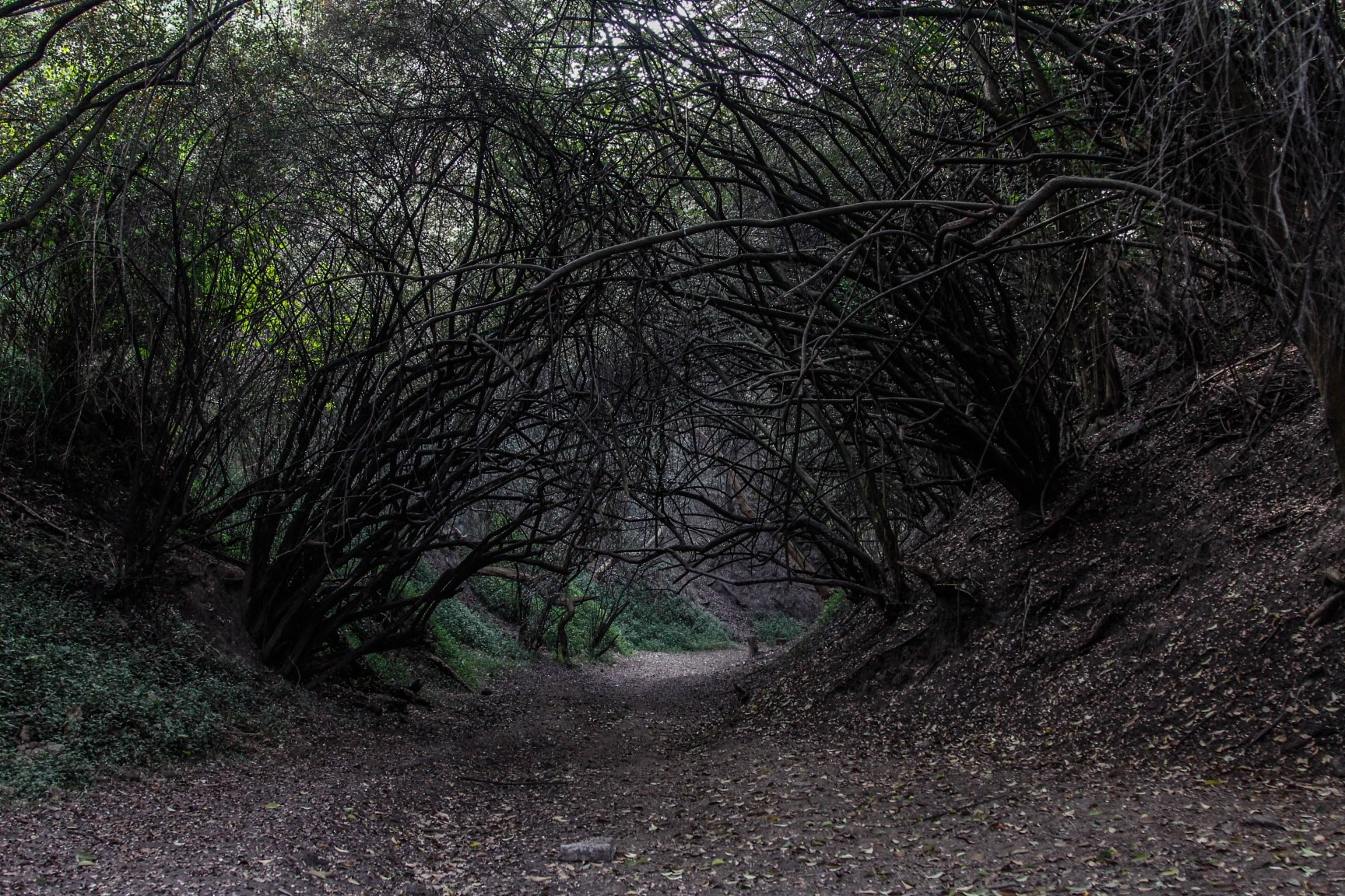 Facebook @ChapultepecCDMX