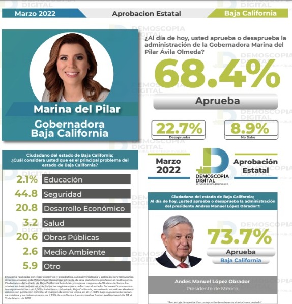 Demoscopia Digital