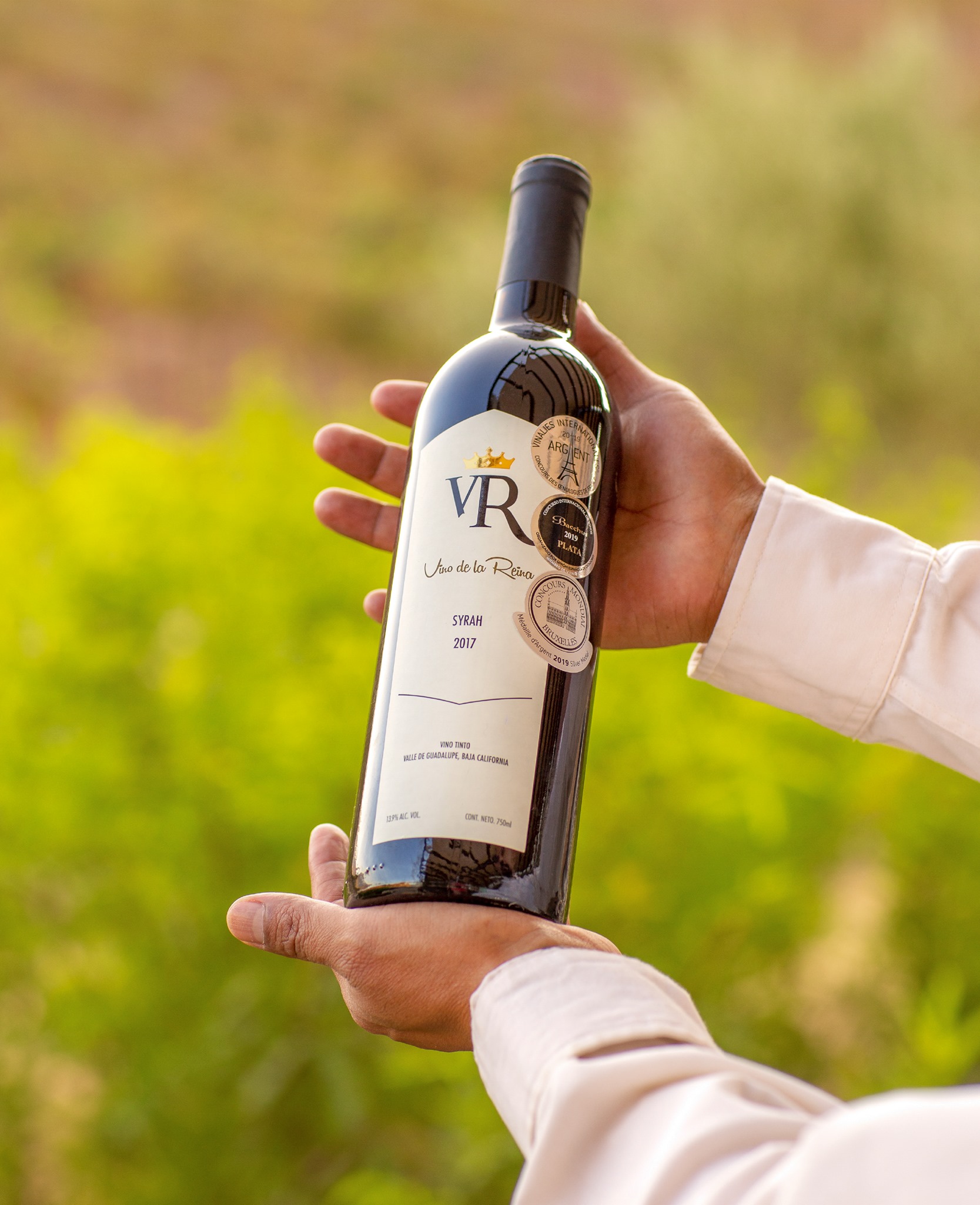 Vinos de la Reina Facebook