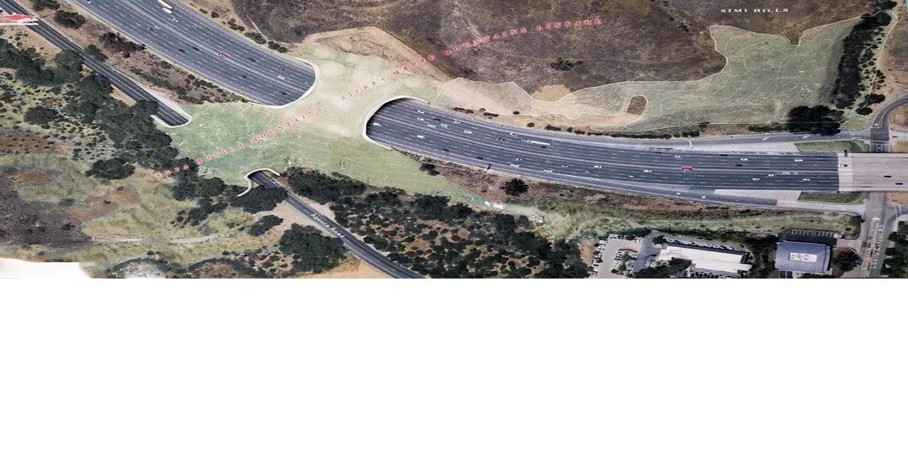 Santa Monica Mountains Conservatory