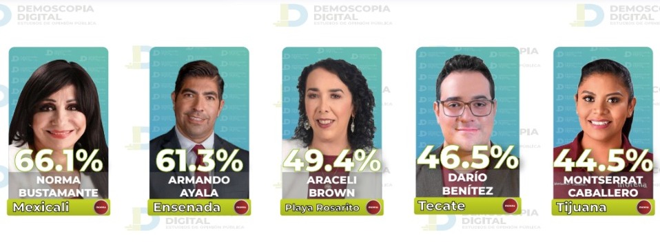 Demoscopia Digital