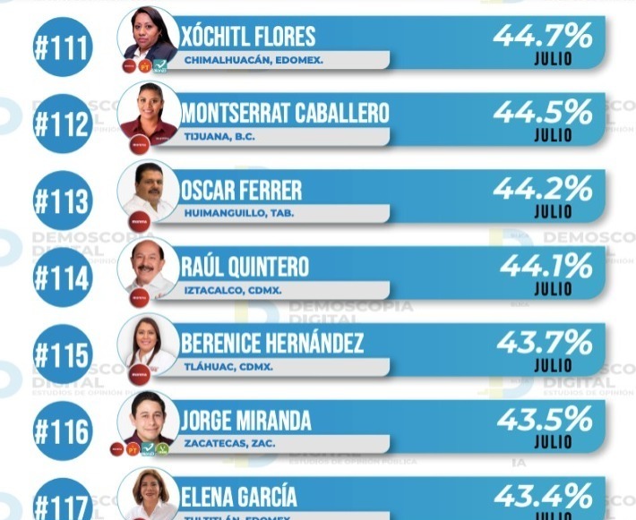 Demoscopia Digital