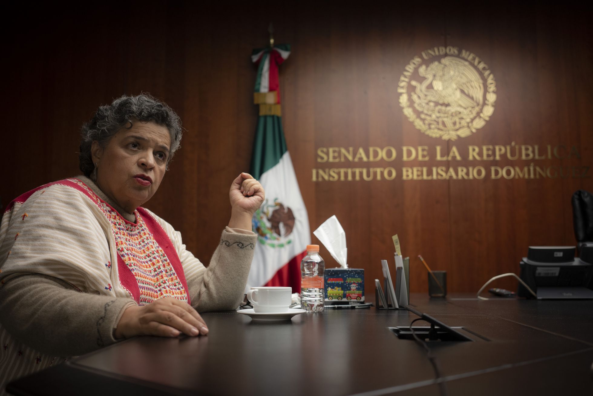 Mónica González Islas