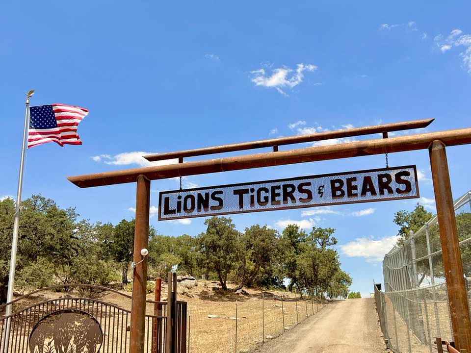 Facebook de Lions Tigers & Bears