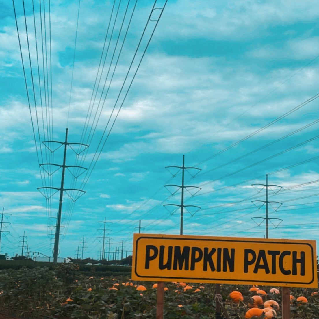 Carlsbad Strawberry Company